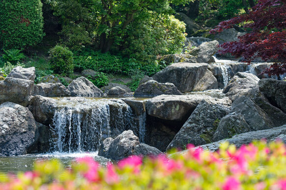 The Japanese Garden at Rheinaue Leisure Park