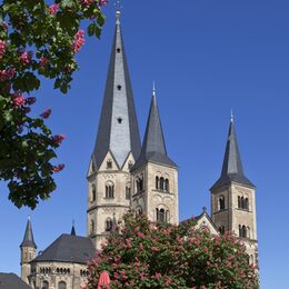 Außenaufnahme des Bonner Münsters mit blühenden Kastanienbäumen im Vordergrund