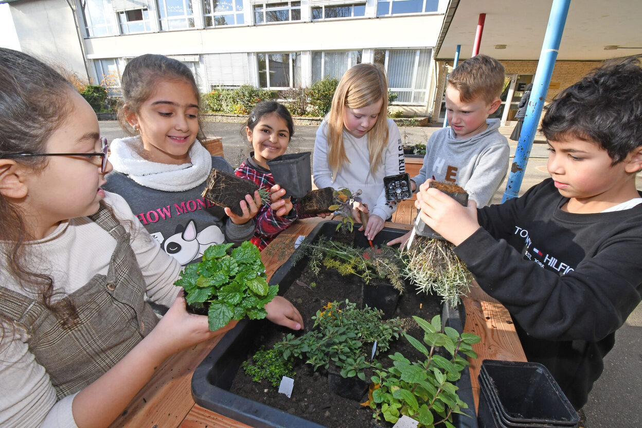 Kinder bestücken einen Pflanzkübel mit Stauden.