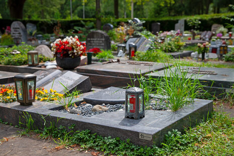 Urnenwahlgräber auf dem Nordfriedhof