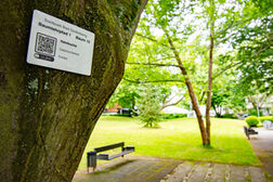 Baumstamm mit Schild und QR-Code, im Hintergrund der Stadtpark mit einer Bank.