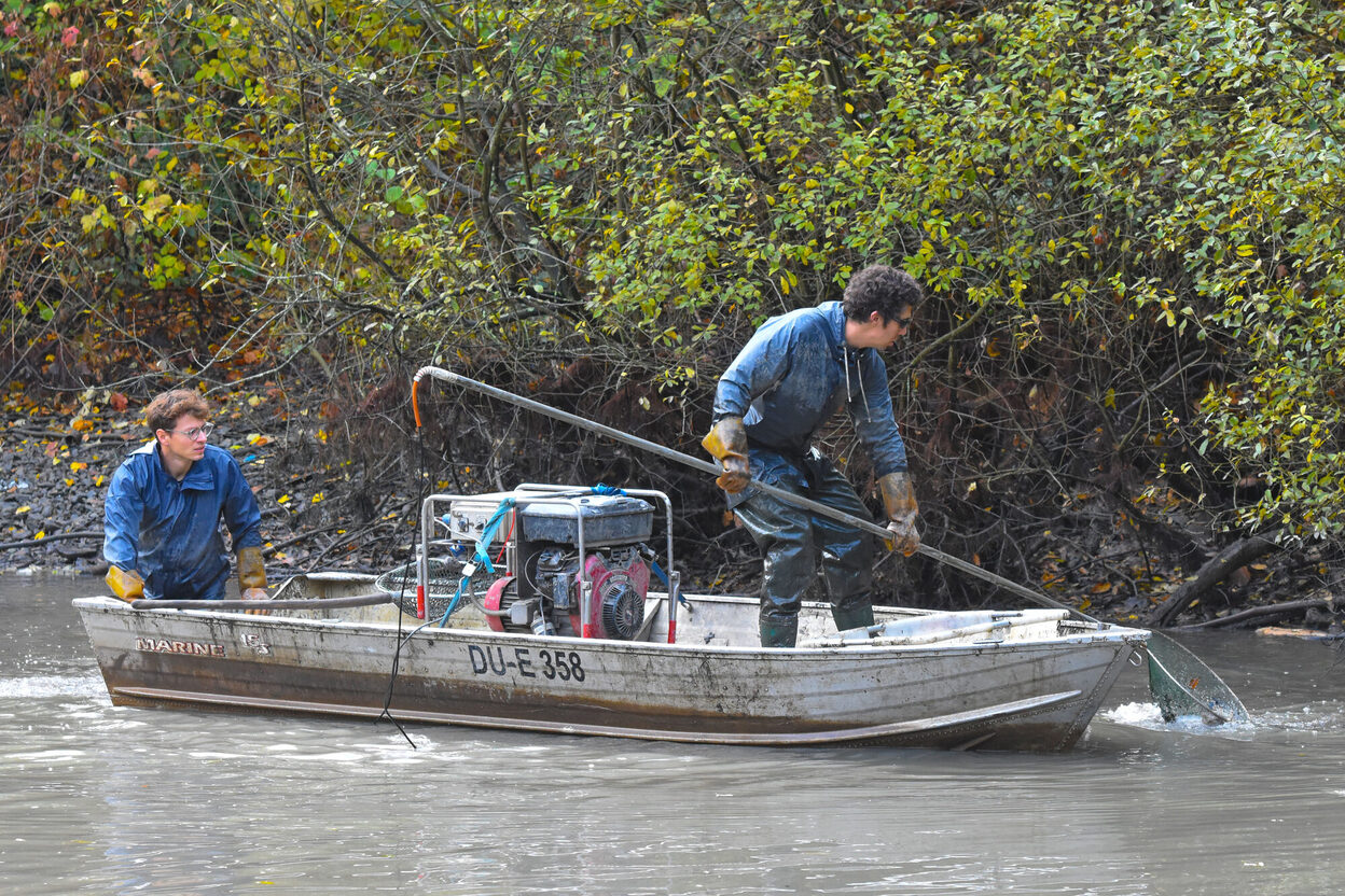 Zwei Männer in Gummianzügen und mit Kescher auf einem Boot auf dem Derleteich.