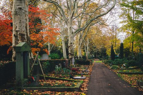 Weg auf dem Nordfriedhof. Am Wegrand sind Gräber.