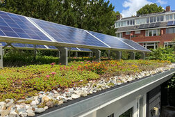 Ein mit Sedum bewachsenes Flachdach mit Panelen für Photovoltaik