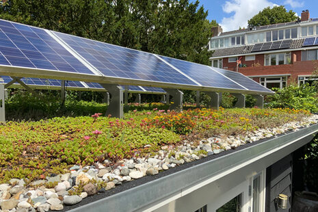 Ein mit Sedum bewachsenes Flachdach mit Panelen für Photovoltaik