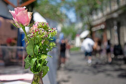 Das Stillleben zeigt eine Rose auf einem Tisch der Außengastronomie, im Hintergrund verschwommen die Altstadt