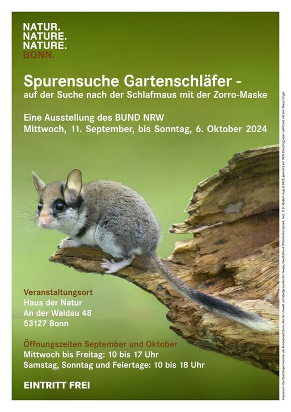 Das Plakat zur Ausstellung zeigt einen Gartenschläfer auf Totholz.