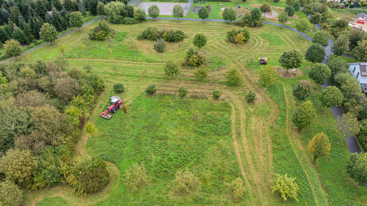 Luftbild von Mähfahrzeugen auf einer Wiese.