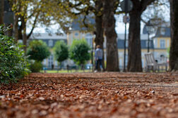 Herbststimmung am Poppelsdorfer Schloss