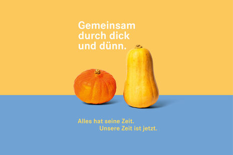 Zwei Kürbisse, einer davon orange und rundlich, der andere gelb und lang.