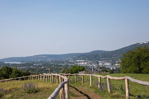 Wanderweg am Rodderberg. Im Hintergrund das Siebengebirge.