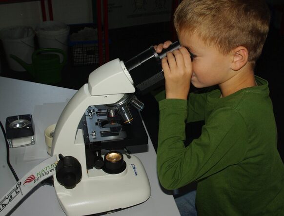 Mikroskopieren am Museum Koenig
