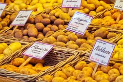 Verschiedene Kartoffelsorten in Weidenkörben an einem Marktstand